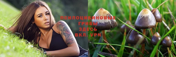 2c-b Новодвинск