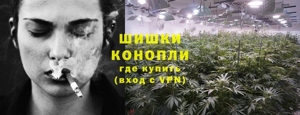 spice Новозыбков