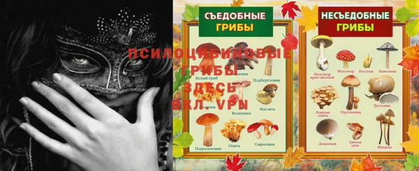 spice Новозыбков