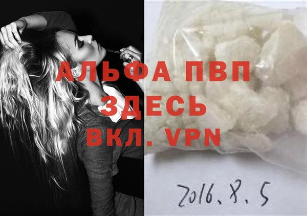 spice Новозыбков